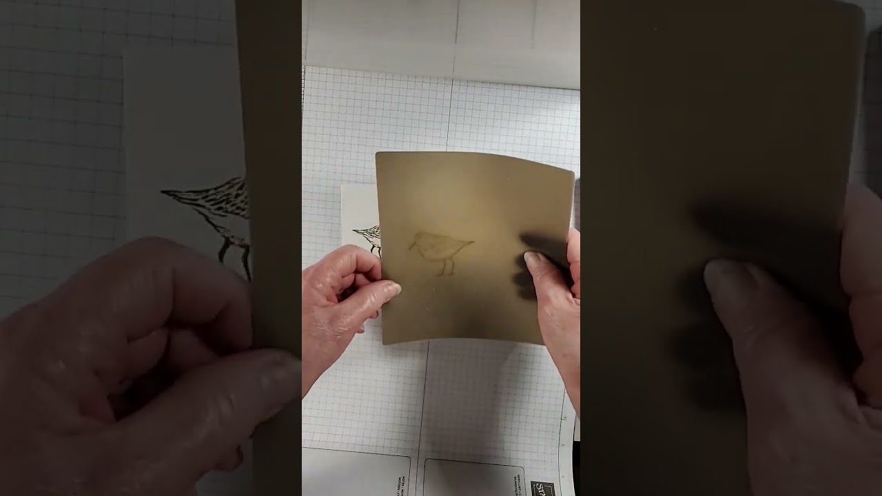Stampin'Up! How to do reverse stamping!