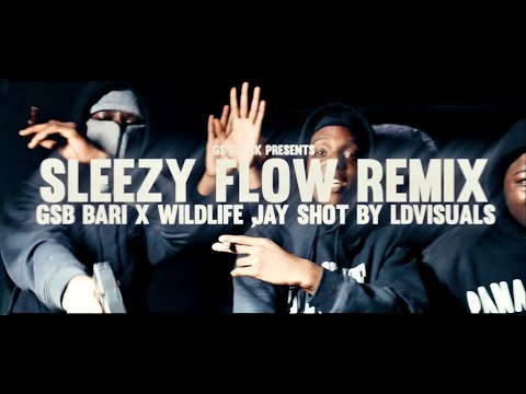 GSB BARI x WildLifeJay - Sleezy Flow (Official Video)