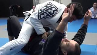 Bridge and Roll to Escape Mount