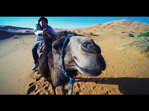 BUSSINES - MOROCCO (VIDEOCLIP 4K) PROD ANTRAX