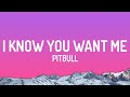 Pitbull I Know You Want Me Calle Ocho