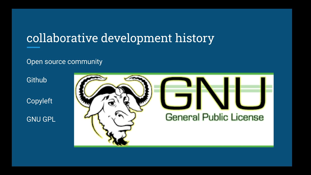 8.1.1 Software License Agreements