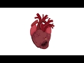 What Is A Heart Attack