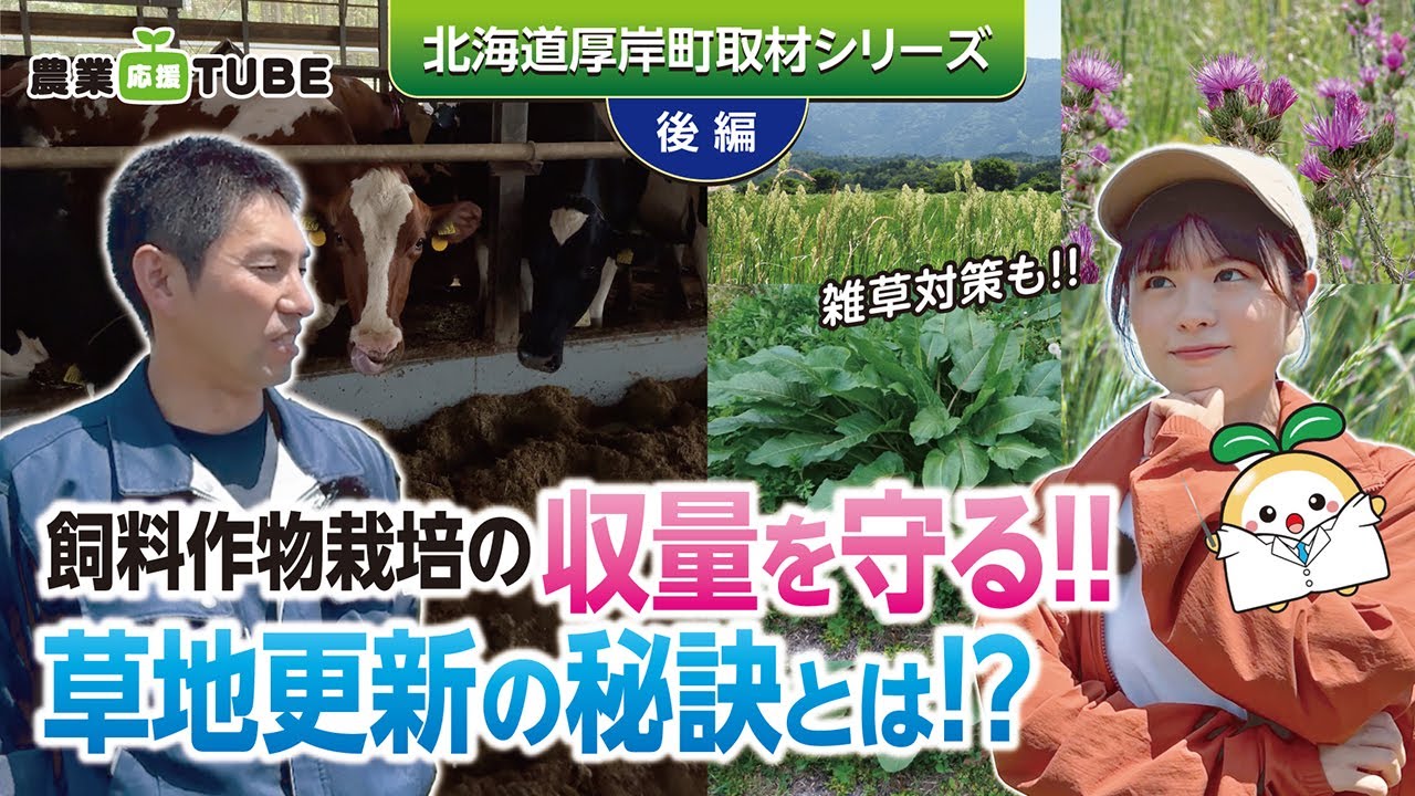 【後編】北海道の大規模農業を支える“コントラクター”の役割とは？草地更新に密着！北海道取材シリーズ