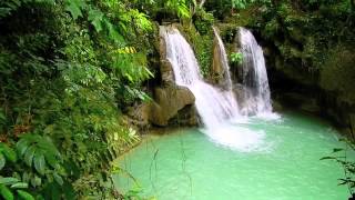 preview picture of video 'Mag-Aso Falls - Bohol Tour - WOW Philippines Travel Agency'