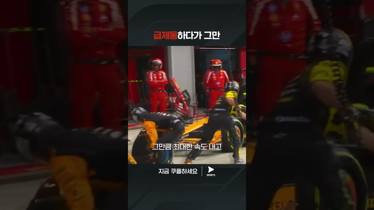 속도 표지판을 치고 만 노리스 | 2024 F1ㅣ이탈리아 그랑프리