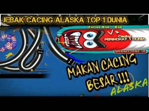 JEBAKAN BATMAN Berhasil CACING  Besar Alaska NO 1 DUNIA !!!   WORMS ZONE INDONESIA #2