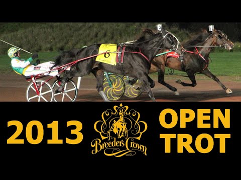 2013 Breeders Crown - Market Share - Open Trot