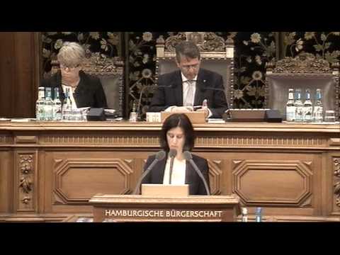 Katja Suding zum Datenschutz am 11.06.2015