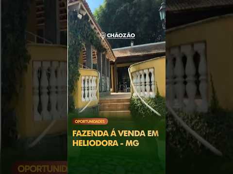 🐄 Fazenda produtiva à venda em Heliodora - MG