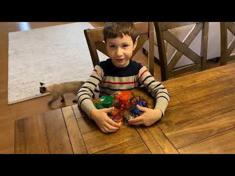 Hexbug Ultimate Insect Bundle Review