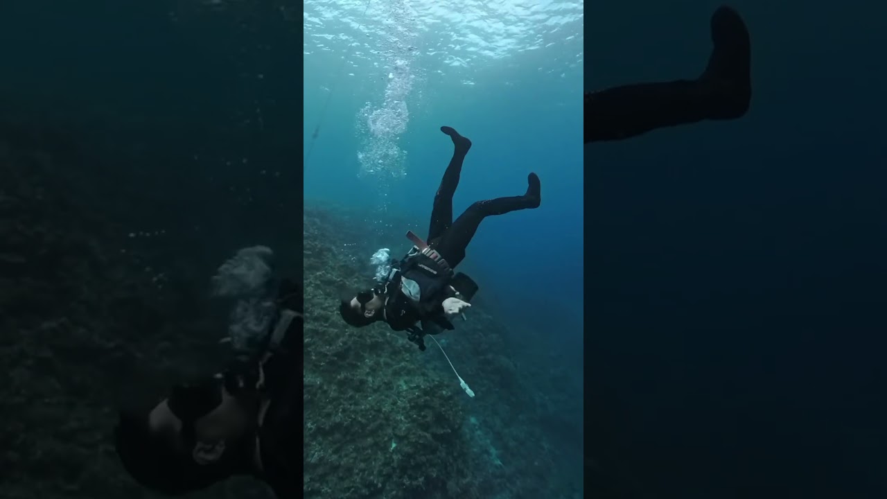 この支配からの卒業