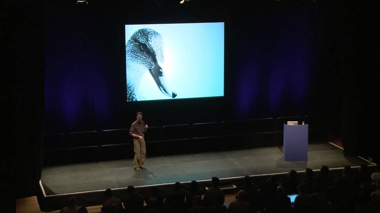 Karl Fast - Deep Interaction