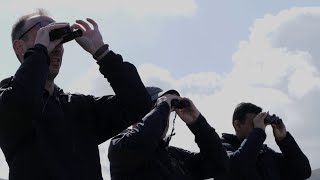 Трейлер превью