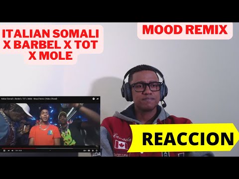 Italian Somali x Barbel x TOT x Mole - Mood Remix (REACCION)