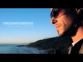 Minuit - Aotearoa (organikismness remix) 