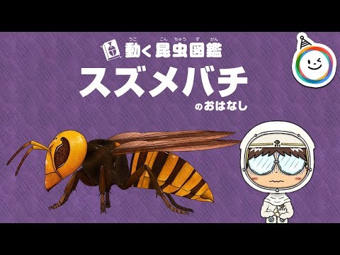 園芸 蜂蘭、オフリス蜂