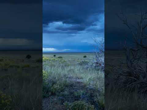 How the Great Plains Became America’s Breadbasket