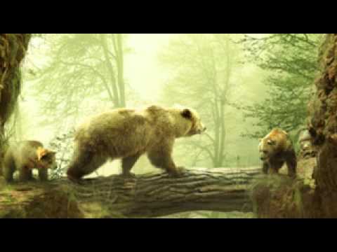 1186 Shamanic - Anishinaabe - Spirit Bear Song