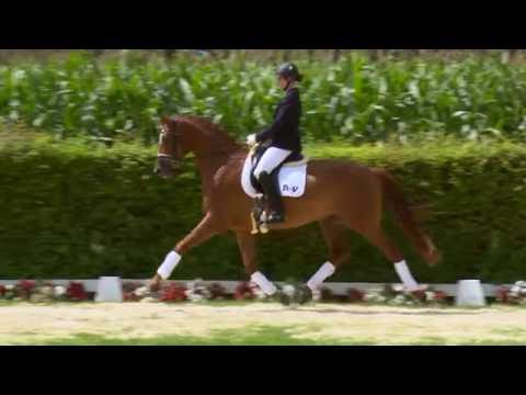 09 Finley  Wallach v. First Selection - Ehrentusch