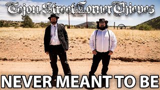 Music video thumbnail preview for Tejon Street Corner Thieves - Never Meant To Be (Music Video) by Tejon Street Corner Thieves