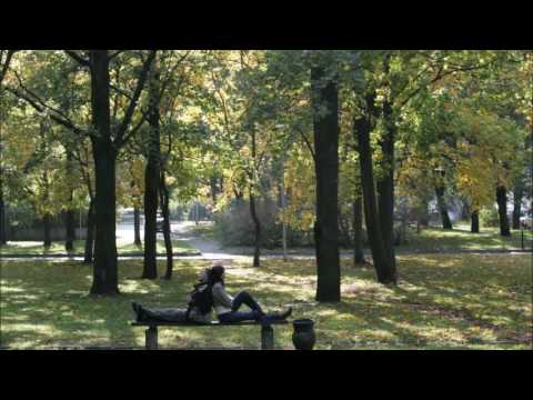 Steponas Januska   Guodeja