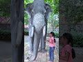 Hathi Ko Kisine Pin Chuba Diya Shorts