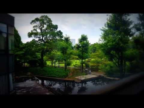 Okuma Garden 大隈庭園の夜明け #timelapse