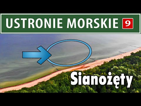 USTRONIE MORSKIE ➤ SIANOŻĘTY - surf & spin  (opis ło wiska)