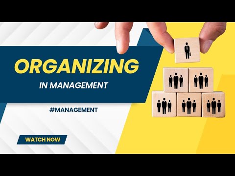 Organizing is The Building Block for Successful Organizations - How to Do It Right?