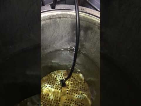 SPG over pressure blowout plug