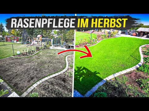 Willst du einen dichten Rasen? Dann schau dir dieses Video im Herbst an!