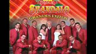 tu dama de hierro sonora skandalo