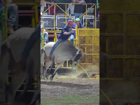Monta de toros Rodeo El Segoviano San Fernando Nueva Segovia