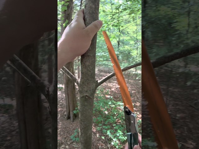 Vídeo relacionado con EZARC Lama de sierra recíproca de 300mm con dientes japoneses, hojas de sierra para poda de madera con borde en arco de 6 TPI para recortar árboles, cortar madera, 3 piezas.