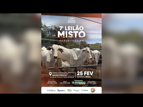7º LEILÃO AGRO BANDEIRA E SINDICATO DE MARTINHO CAMPOS/MG - 25/02/2026