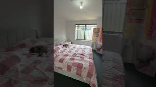 Video overview for 10 Oldfield Street, Hilbert  WA  6112