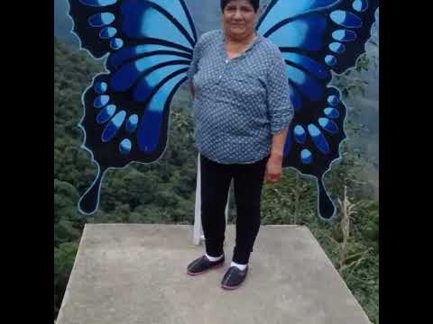 paseo por la selva de San Martín Tarapoto juanjui Bellavista dé visita a la familia