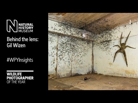 Behind the lens: The spider room by Gil Wizen #WPYInsights | Natural History Museum