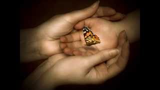 Born on Christmas Day