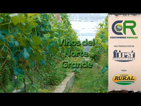 Vinos del Norte Grande - CR#1064