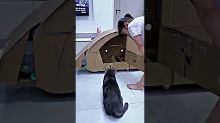 Download lagu This bus almost left! 🚌😱 #shorts mp3 Download lagu This bus almost left! 🚌😱 #shorts mp3