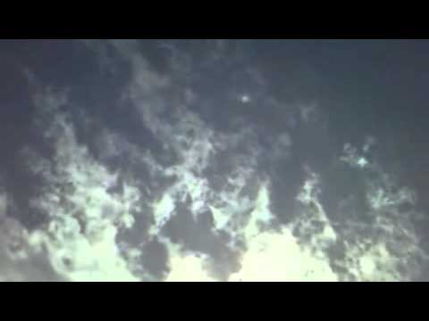 DUMB WHORES / BEST FRIENDS