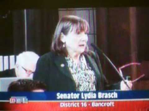 LB528  DAY 2  Sen. Brasch concern with unknown for unseen partner