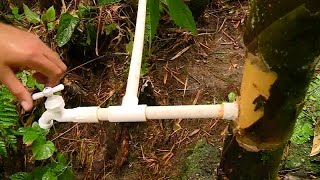 Purifican Agua con Guadua