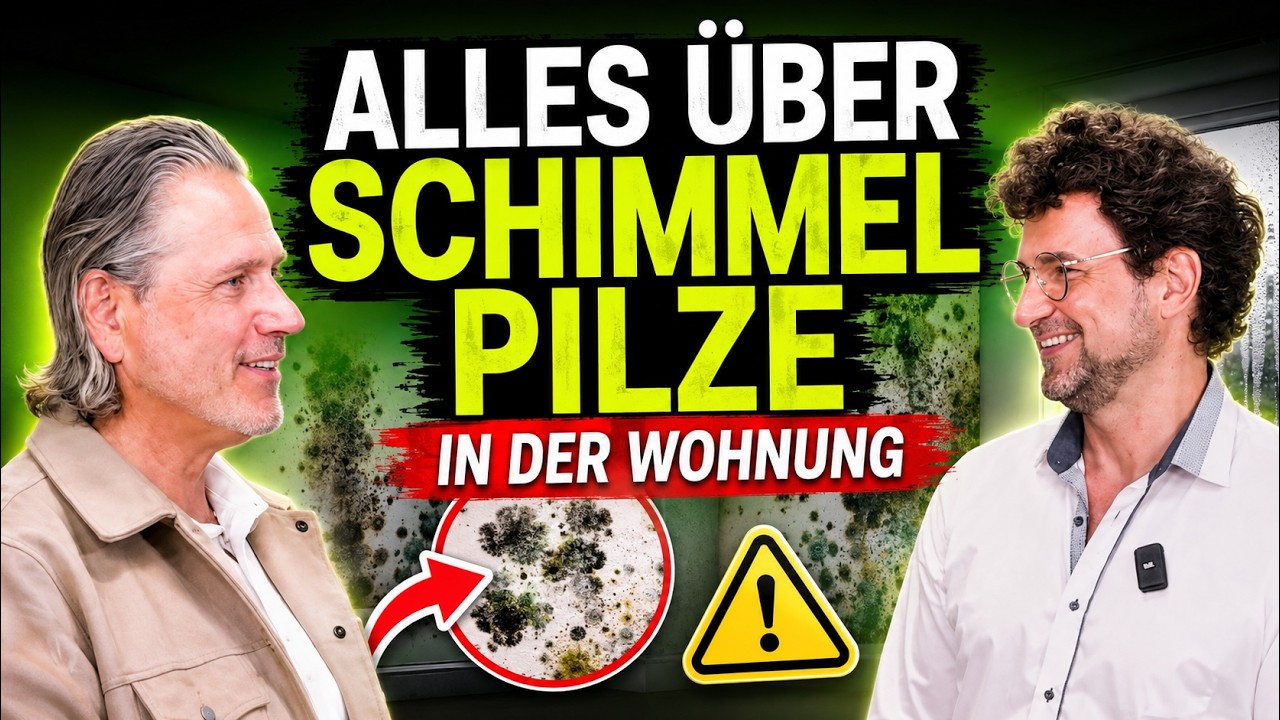 FeeGespräch: KSK GmbH - Schimmelpilz