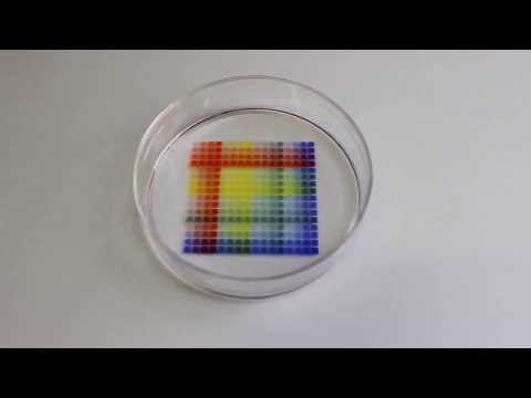 A GRID containing many micro-chambers with fluid walls survives violent agitation