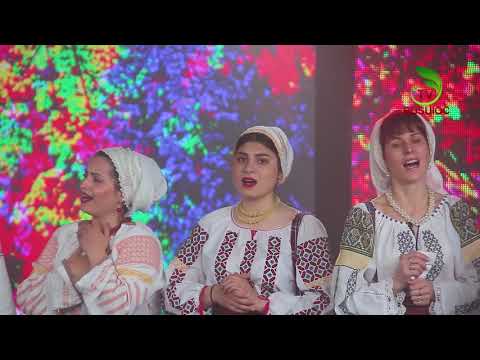 Ansamblul Folcloric “Doinița” - La marginea pădurii | Busuioc TV