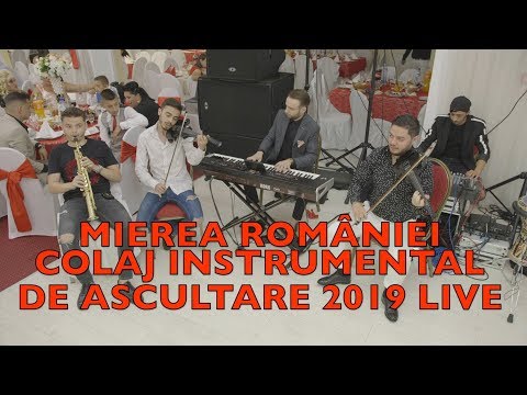 Marius de la Zalau & Darius Stoica si Razvan Georgescu - Instrumentala de Ascultare 2019 LIVE nunta