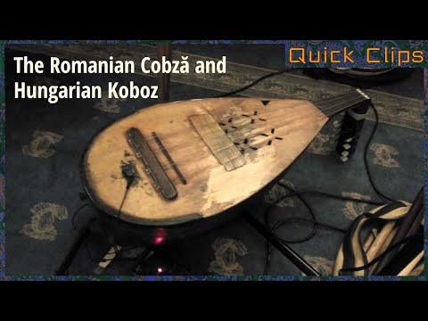 The Romanian Cobză and Hungarian Koboz